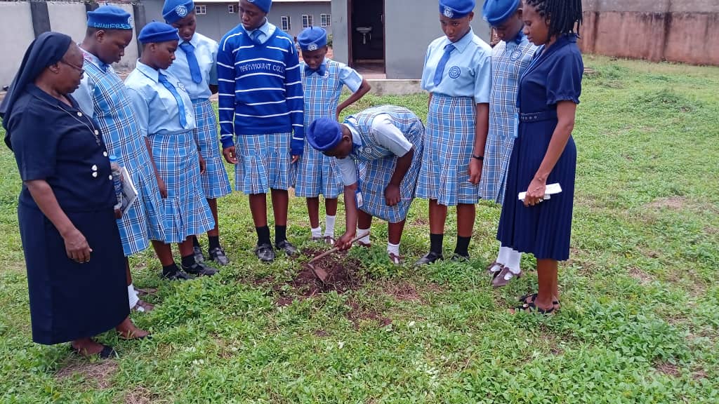 P-IMG-20231019-WA0026