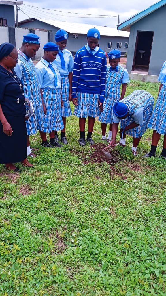 P-IMG-20231019-WA0027