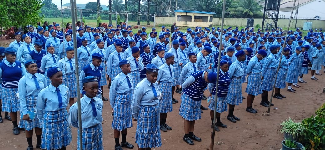 P-IMG-20231019-WA0047