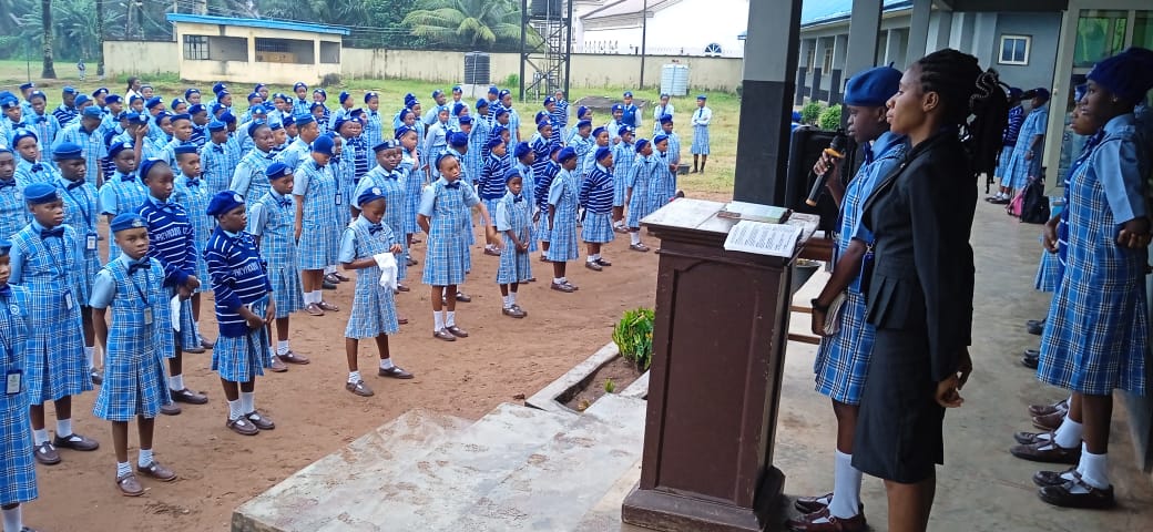 P-IMG-20231019-WA0050